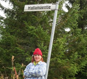 Hallamäentie